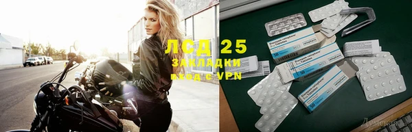 крисы Богородицк