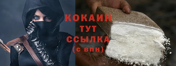крисы Богородицк