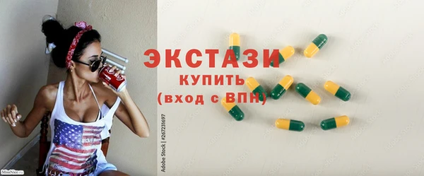 крисы Богородицк