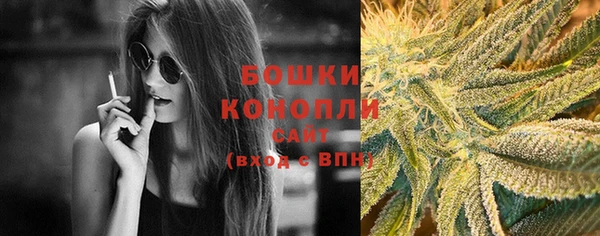 крисы Богородицк