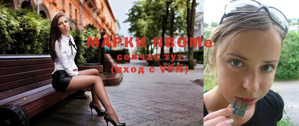 крисы Богородицк