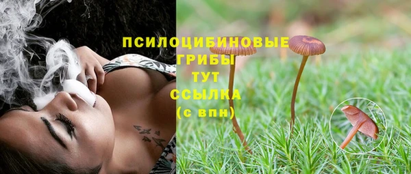 крисы Богородицк