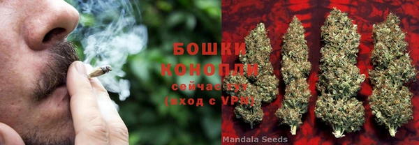 крисы Богородицк