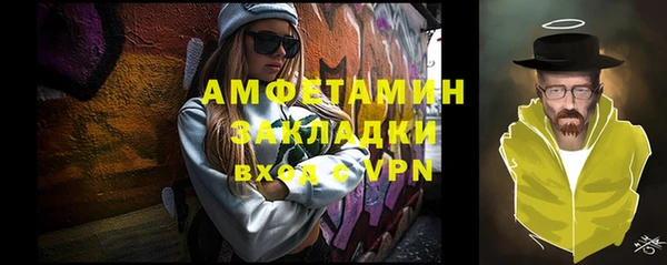 крисы Богородицк