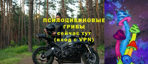 крисы Богородицк