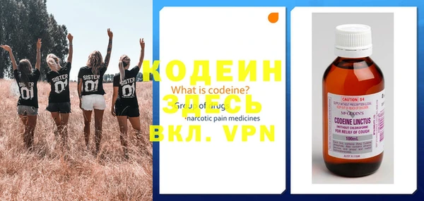 крисы Богородицк