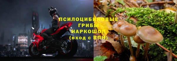 МДМА Богданович