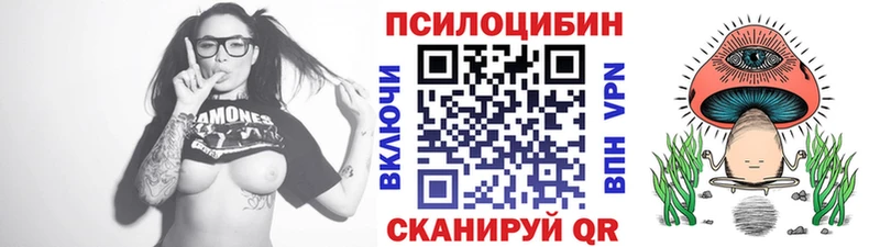 это Telegram  Десногорск  Псилоцибиновые грибы Psilocybine cubensis  наркошоп 